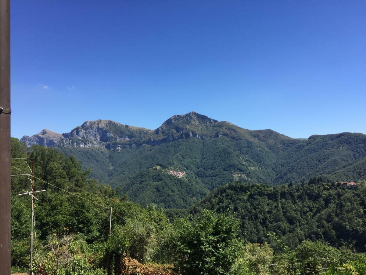 Il Frutteto Natura A Relax Stazzema المظهر الخارجي الصورة