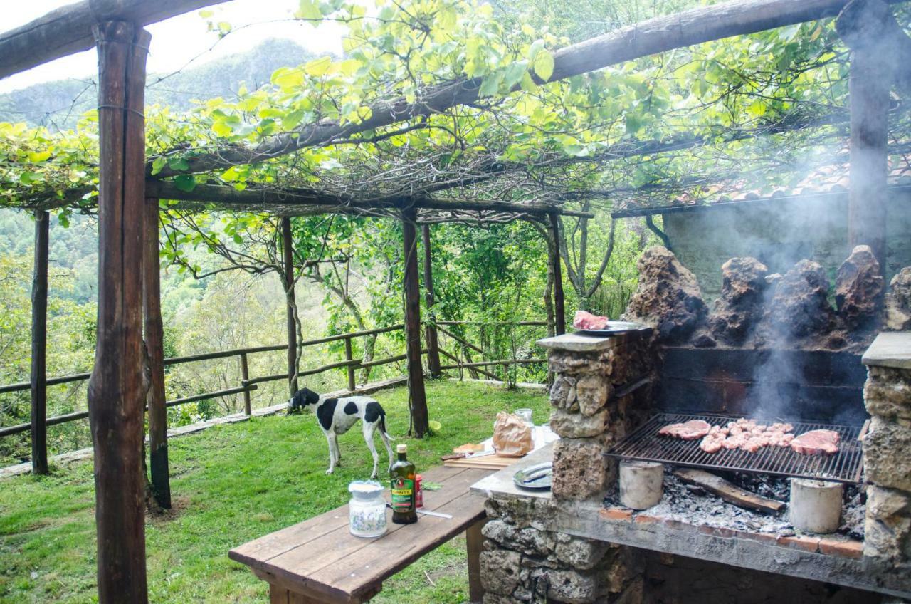 Il Frutteto Natura A Relax Stazzema المظهر الخارجي الصورة