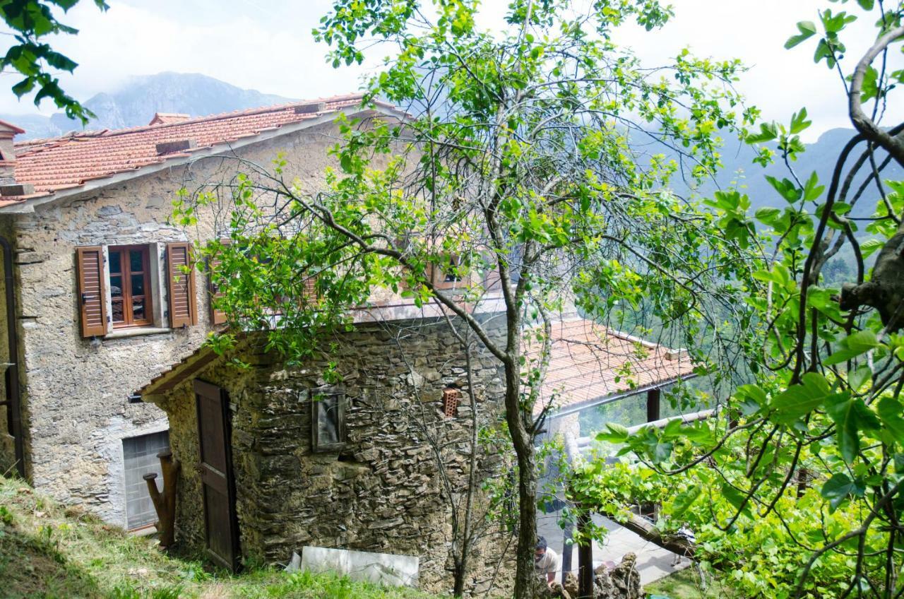 Il Frutteto Natura A Relax Stazzema المظهر الخارجي الصورة
